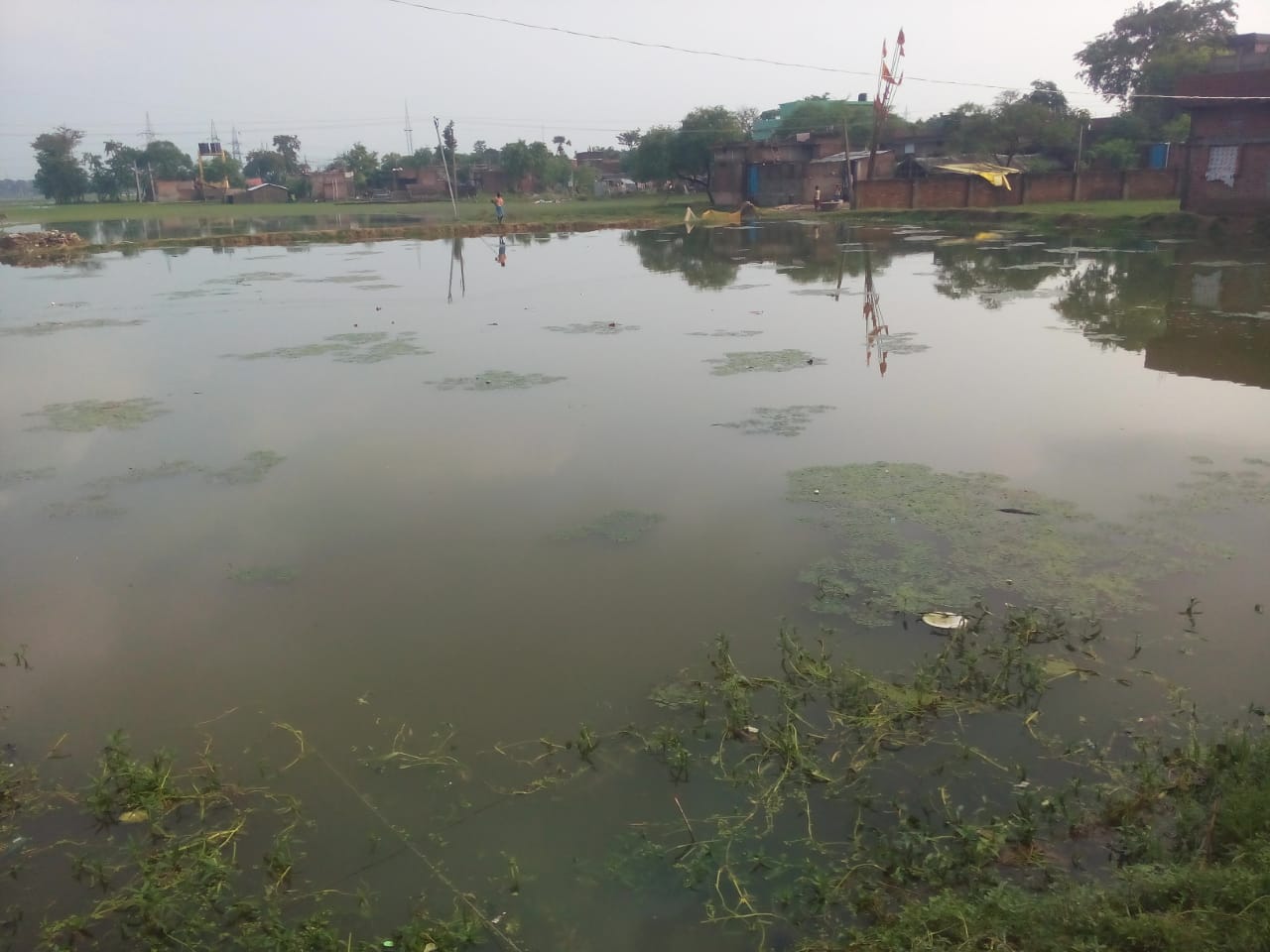 IMG 20210620 WA0098