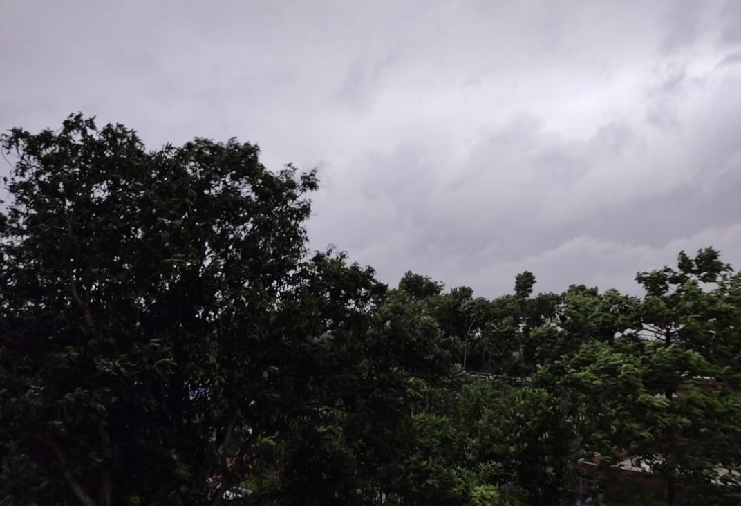 तपती गर्मी से बारिश से राहत, तूफानी बारिश से किसानों का फसल बर्बाद।। 3 IMG 20210601 200222