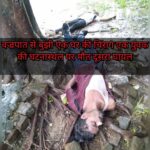 Inq Tmp 31 वज्रपात से बुझी एक घर की चिरागएक युवक की घटनास्थल पर मौत दूसरा घायल