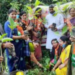 अपने सांसों के साथी वृक्षों की रक्षा व पौधारोपण करनी चाहिए।