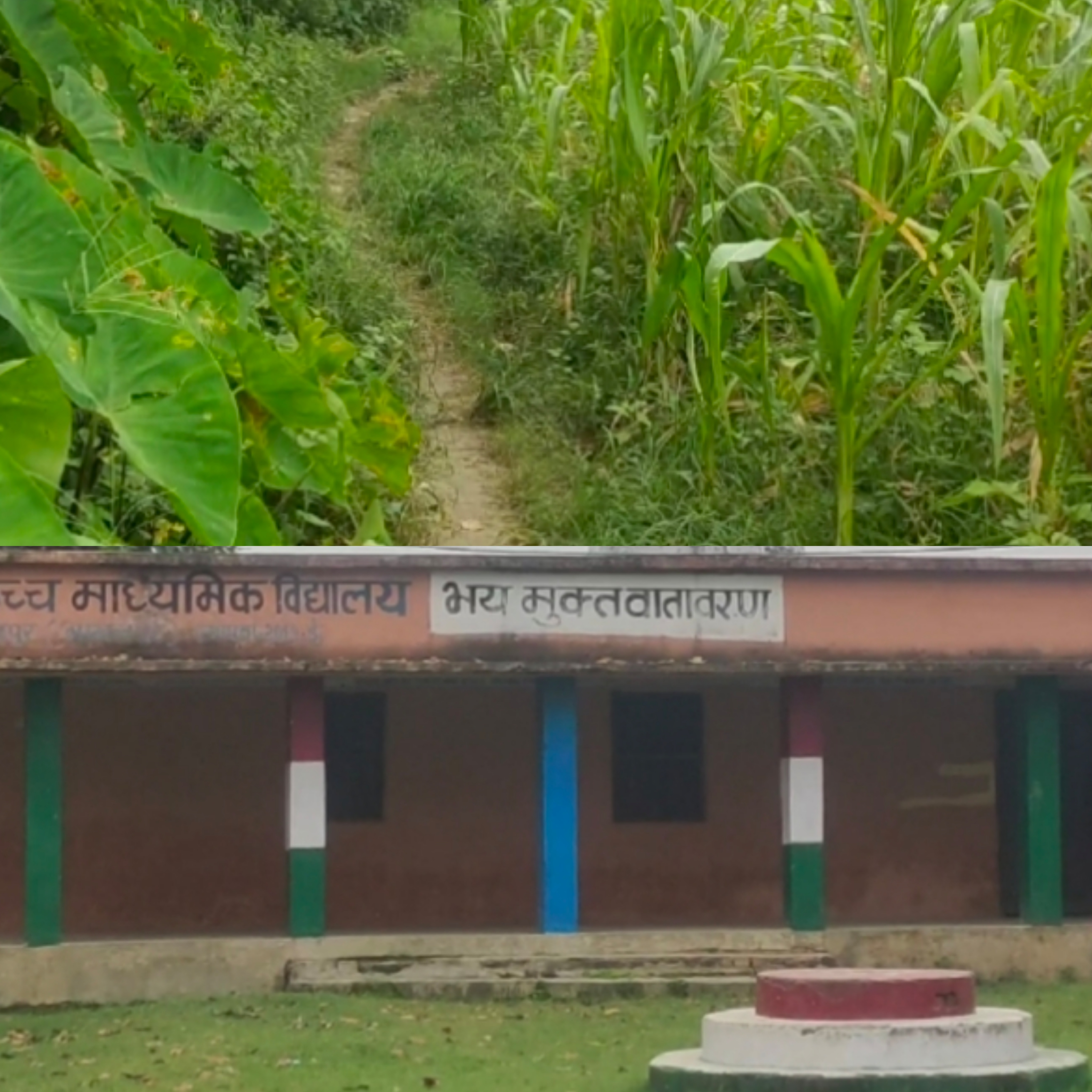 लानत है ऐसी विकास कि आजादी के 75 साल के बाद भी विद्यालय तक पहुंचने को मुख्य सड़क नहीं मिला //INQUILABINDIA 2 CollageMaker 20210826 084036616 7