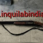 Inq Tmp 34 BreakingNews – बिहपुर पुलिस के छापेमारी में मिला 2 नाली बंदूक
