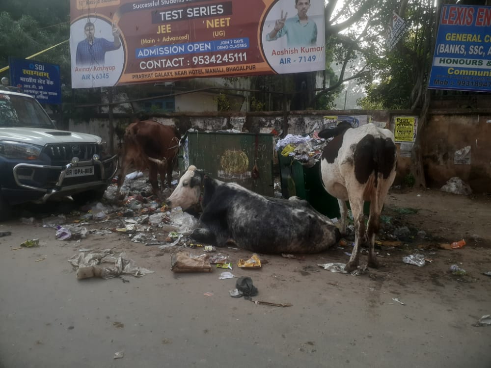 नीतीश कुमार के 15 साल बेमिसाल आयोजन पर भी भड़के कांग्रेस विधायक- अजीत शर्मा 2 IMG 20211126 WA0012