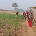 सहरसा – जमीनी बिवाद में दबंगो के द्वारा जम कर मारपीट विडियो हुआ वायरल ।।