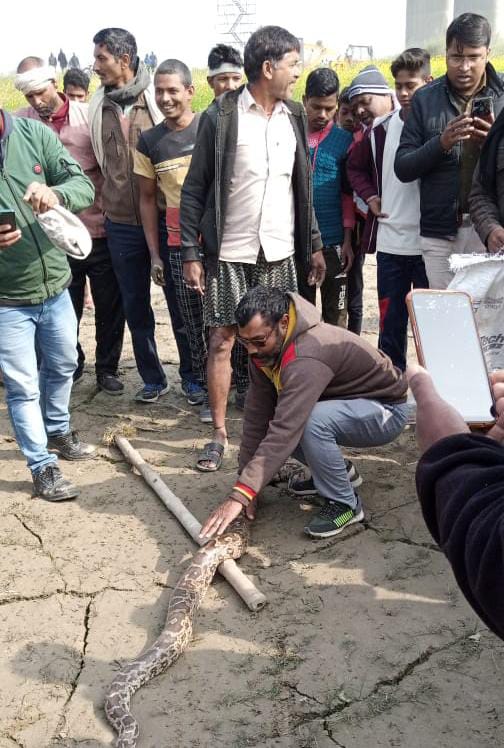 अजगर के रेस्क्यू होने पर स्थानीय लोगों ने किया प्रशन्नता जाहिर, खबर की असर 3 IMG 20220118 WA0006