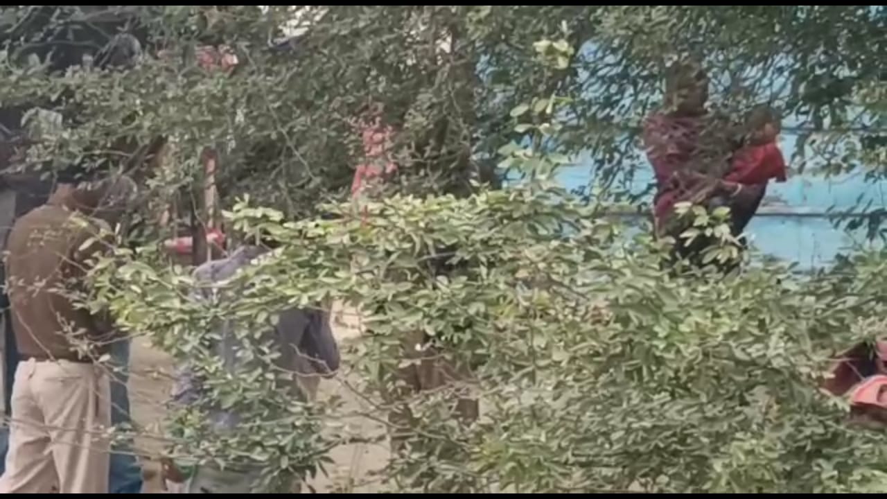 IMG 20220224 WA0030