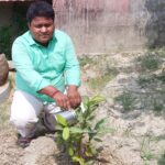 बिहार दिवस पर साईं नाथ सेवा समिति ने किया पौधरोपण ।। Inquilabindia