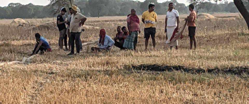 खेत में लगी भीषण आग लाखों की अनाज जलकर स्वाहा 8 IMG 20220404 WA0016