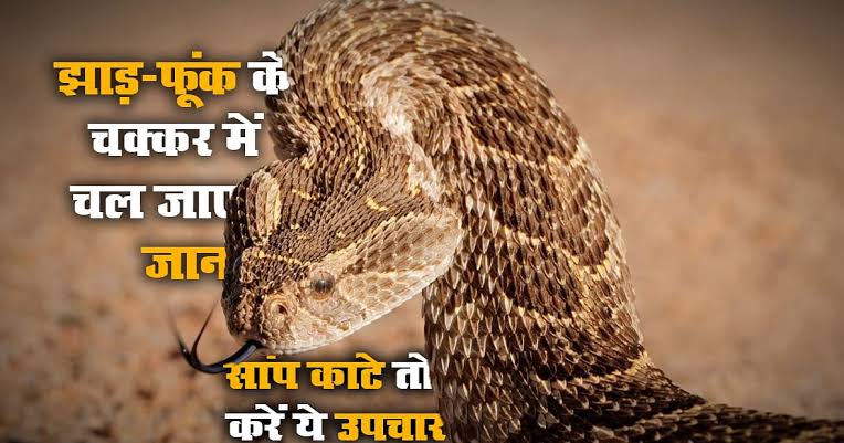 सर्पदंश से हुई एक युवक की मौत, गांव घरों में पसरी मातम 6 IMG 20220421 WA0002