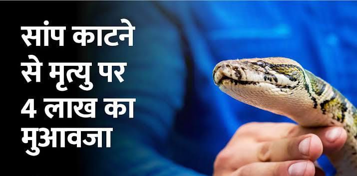 सर्पदंश से हुई एक युवक की मौत, गांव घरों में पसरी मातम 2 IMG 20220421 WA0007