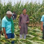 आंधी में क्षतिग्रस्त किसानों के फसलों का मुआयना करने पहुंचे पदाधिकारी