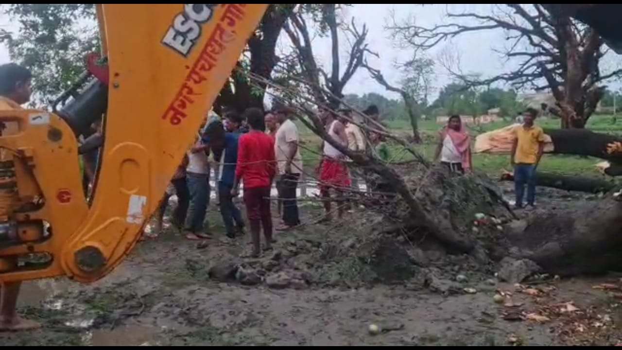 तेज आंधी से बगीचे में लगी आम के पेड़ गिरने से एक बच्ची की मौत 2 IMG 20220519 WA0008