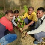 Inq Tmp 35 गायत्री परिजनों द्वारा 84 वां माह वृक्षारोपण कार्य कर लगाए हजारों पेड़ पौधे