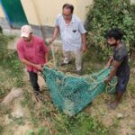 Inq Tmp 32 कुमैठा एंव नयागांव पंचायत मे पागल बंदर के आतंक होने पर वन विभाग के टीम ने रेकस्यु कर बंदर को पकडा ।।