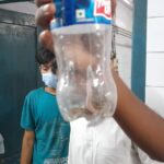 Inq Tmp 35 क्रिकेट खेल रहे एक युवक को विषैले सांप ने काट लिया, घायल युवक अपने इलाज के लिए सांप को बोतल में बंद कर पहुंचा मायागंज अस्पताल