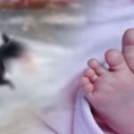 Inq Tmp 31 नवगछिया में कुत्तों ने नोंच खाया नवजात बच्चे का शव ।। Inquilabindia