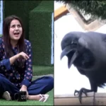 बिग बॉस हाउस में जब कौवे से बातें करने लगीं थीं शहनाज गिल, खूब वायरल हुआ था ये वीडियो