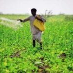 Fertilizer crisis: ब‍िहार में खाद संकट , स्टाॅक की कमी और कालाबाजारी से क‍िसान परेशान ।।