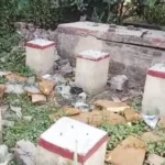 पटना के बाद अब बिहार के इस जिले में मोबाइल का टावर चोरी, पूरा मामला जान चौंक जाएंगे आप