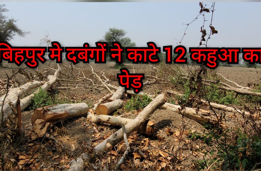 बिहपुर मे दबंगों ने काटे 12&hellip;
