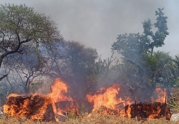 नूरुद्दीनपुर में आग लगने से फूस के चार&hellip;