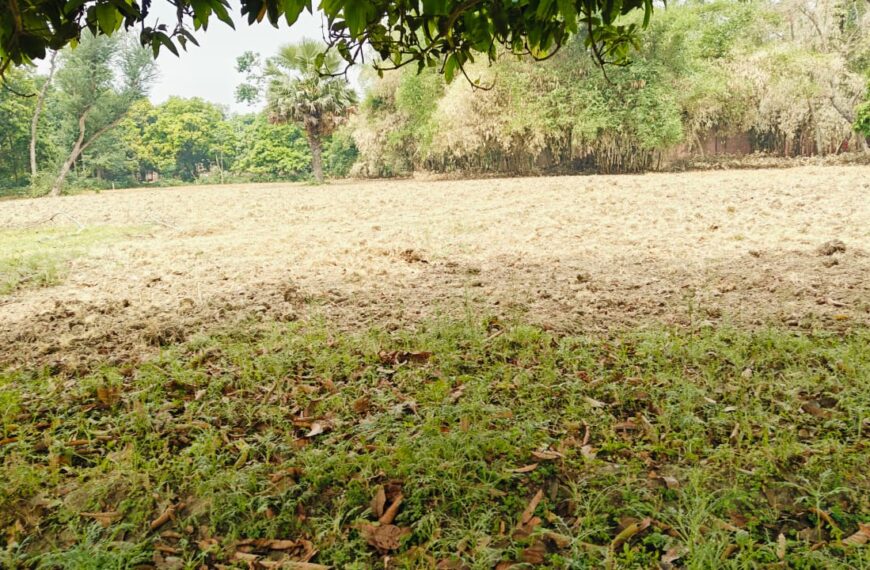 पंद्रह वर्षों से विद्यालय की खेतिहर&hellip;