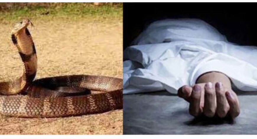 सर्फ डांस से एक की मौत
