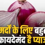 Inq Tmp 35 Health Benefits Of Raw Onion