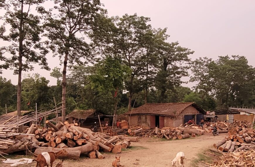 लापरवाही : वन विभाग को पता&hellip;