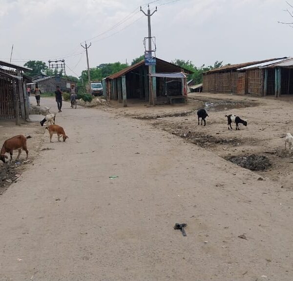 गोलीबारी के बाद पसरा सन्नाटा