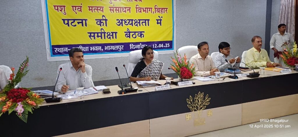 अलंकारी मछली हैचरी में अपार संभावनाएँ, बांका को मछली उत्पादन मॉडल जिला बनाने पर जोर 3 img 20250412 wa00301409834727591790660