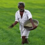 Inq Tmp 50 बिहपुर में खरीफ महाभियान के तहत कृषि प्रशिक्षण शिविर- पंचायतवार किसानों को मिलेगा उन्नत खेती का प्रशिक्षण