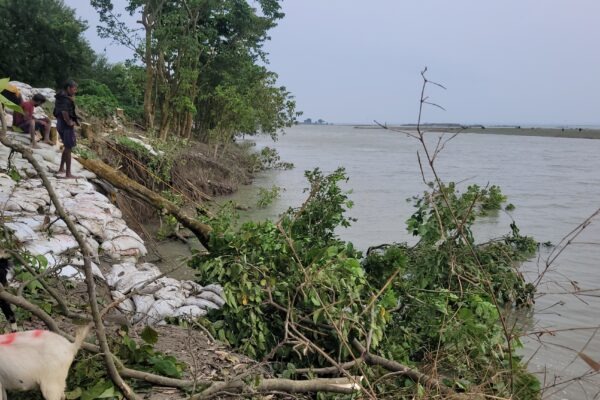 नरकटिया जमींदारी बांध पर फिर गंगा का कहर!कटाव की रफ्तार बढ़ी, ग्रामीणों में दहशत का माहौल 20251004 1418010