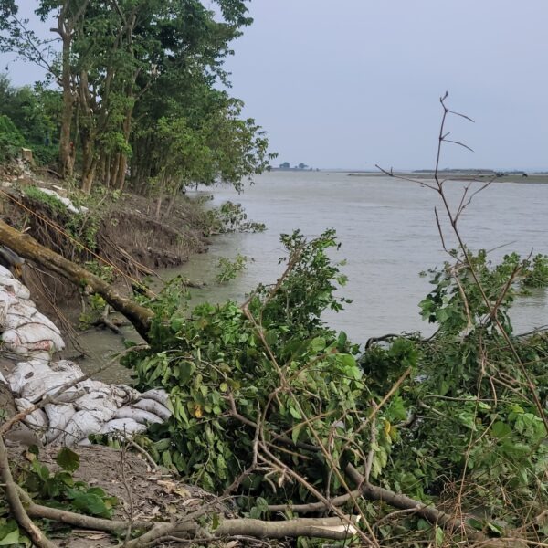 नरकटिया जमींदारी बांध पर फिर गंगा का कहर!कटाव&hellip;