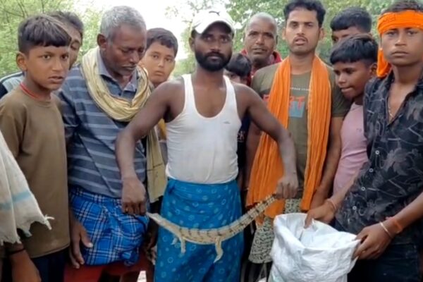 Screenshot 20251005 103744 WhatsApp