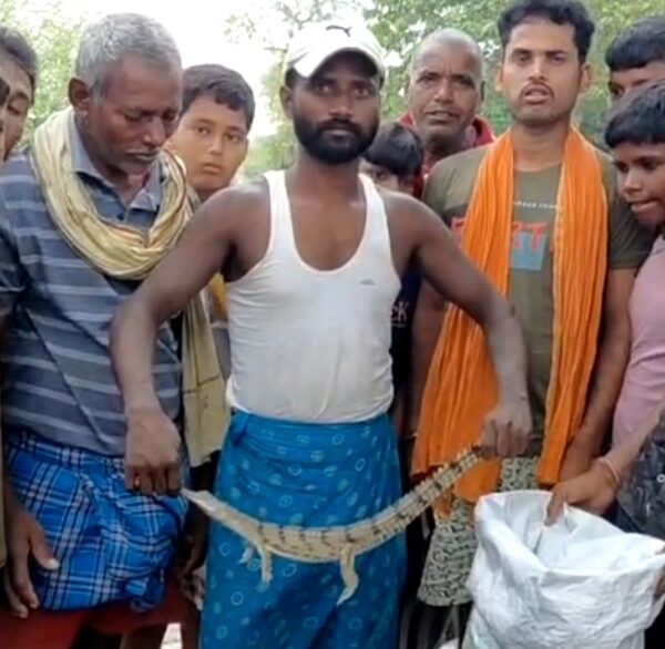 गंगा की गोद से निकला “नन्हा घड़ियाल”, मछुआरे&hellip;