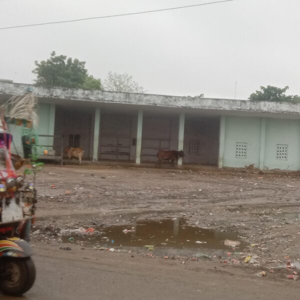 Inq Tmp 6 अगुवानी बस स्टैंड बना तालाब: जलजमाव, दलदल और…