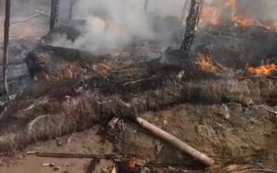 65559144 58d1 456c 8cae e341d870fcb9 1763882424030 1