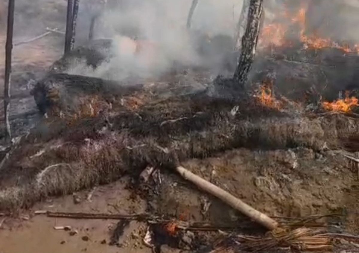 65559144 58d1 456c 8cae e341d870fcb9 1763882424030 1