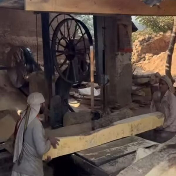 अवैध आरा मिलों का काला कारोबार बेखौफ, स्टॉक&hellip;