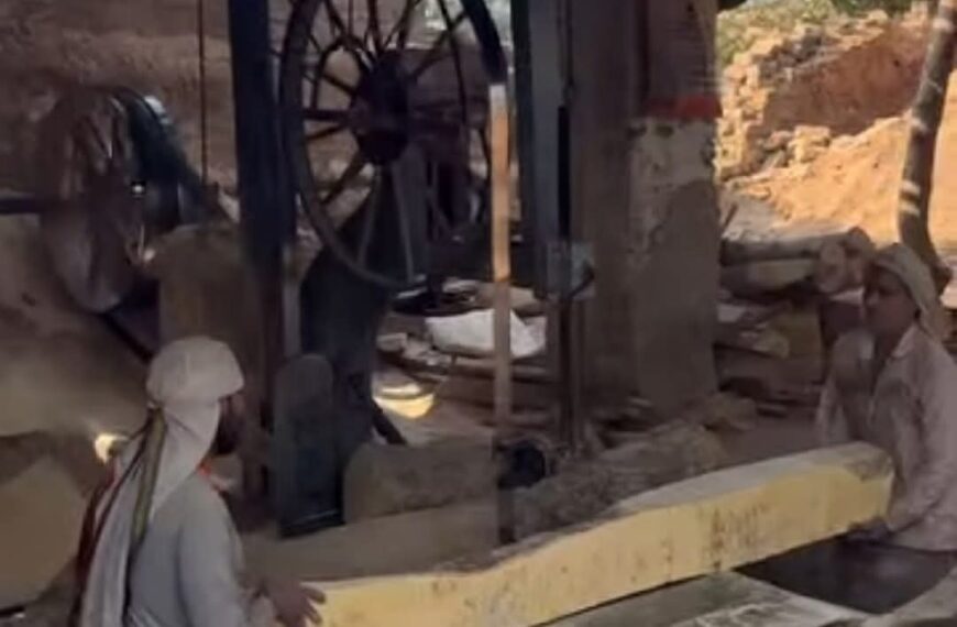 अवैध आरा मिलों का काला कारोबार बेखौफ, स्टॉक रजिस्टर तक नहीं—DFO ने दिए जांच के संकेत