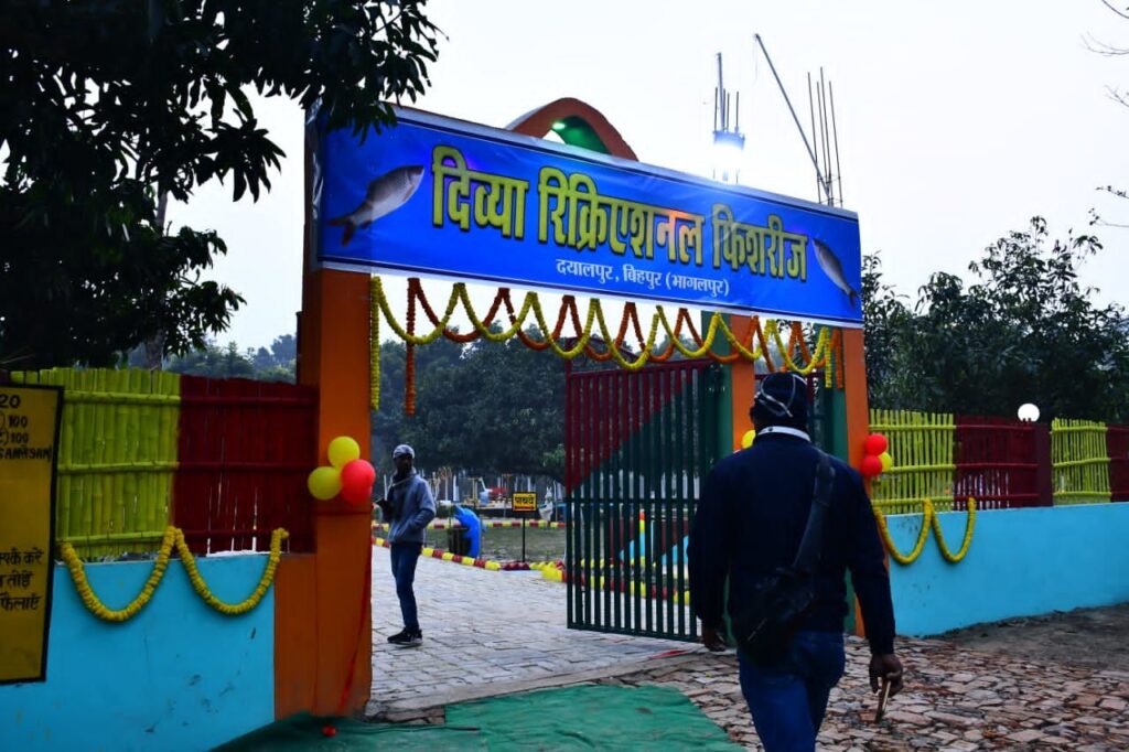 img 20260109 wa00243481394505595973234