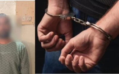 InShot 20260210 225445402