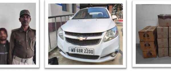 Screenshot 20260211 055419 Gallery