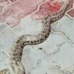 पेट्रोल पंप परिसर में दिखा अजगर, लोगों ने सूझबूझ से पकड़ा – टली बड़ी अनहोनी