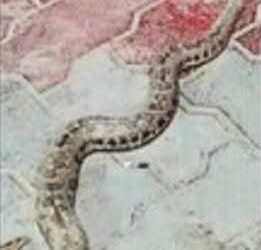 FB IMG 1773326010325