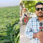 भागलपुर में तूफान-बारिश से फसल तबाह, मुख्यमंत्री से मुआवजे की मांग