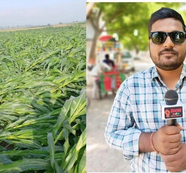 भागलपुर में तूफान-बारिश से फसल तबाह, मुख्यमंत्री से&hellip;