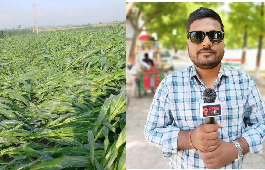 भागलपुर में तूफान-बारिश से फसल तबाह,&hellip;