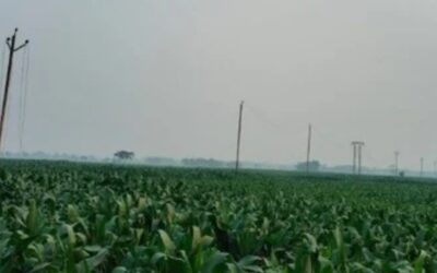 Screenshot 20260312 202739 Chrome